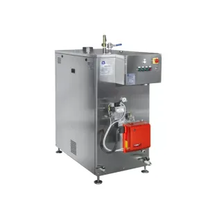 Steam generator TD150