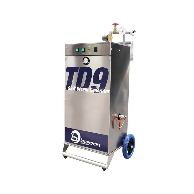 Boldan TD9 Steamer