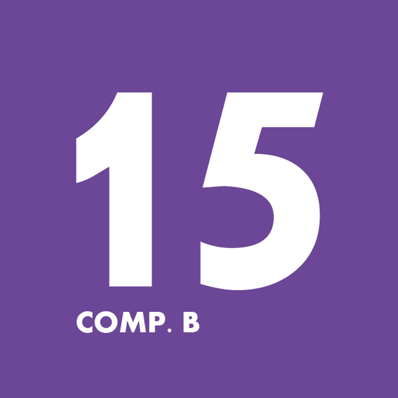 BX Comp. B 15 (3.92 kg) 