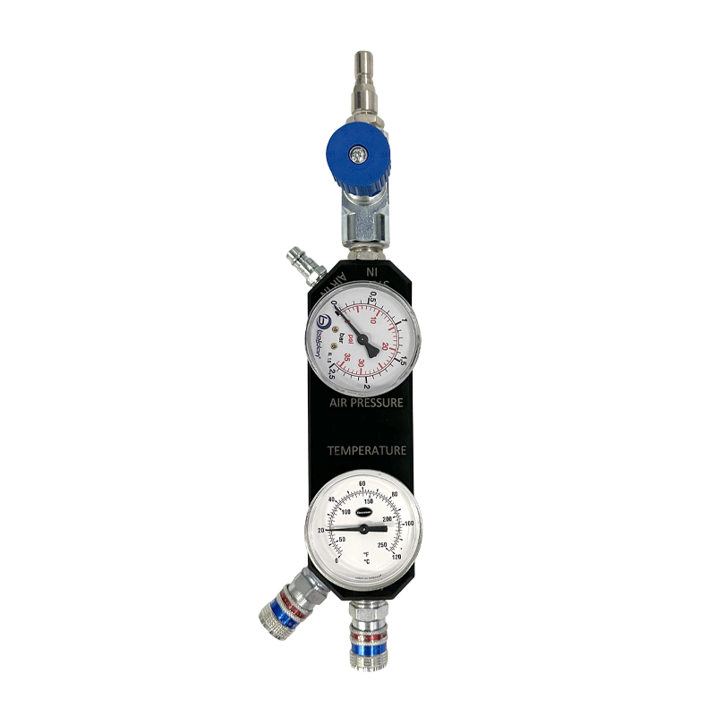 Boldan mediumSteamer PRO  3,6 kW